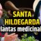 🎙️ Santa Hildegarda y las plantas medicinales – Episodio 116 #podcast