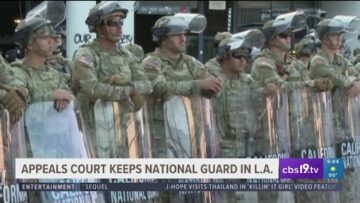 Appeals court keeps National Guard in Los Angeles to combat anti-ICE protests