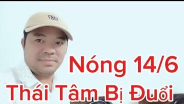 Nóng Thái Tâm Bị Đuổi