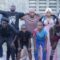 MLINZI STEVE EP 2 MWISHO