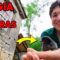 77-🏡REVOCAMOS las paredes de PIEDRA en la bodega 💪Rehabilitación DIY de CABAÑA de PIEDRA