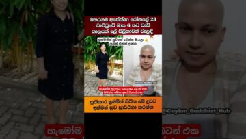 ඉක්මනට සනීප වෙයි දුවේ. #trending #shorts #buddha
