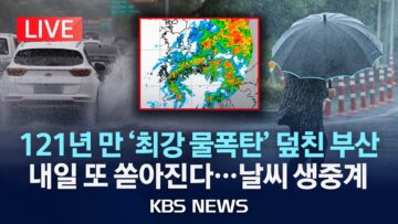 [LIVE] 부산, 121년 만에 가장 강한 비…1시간에 61.2mm/한낮 ‘푹푹 찐다’…내일 다시 전국 비/2025년 6월 14일(토)/KBS