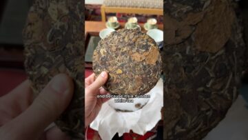 Love me some aged white tea #tea #whitetea #yunnan #chinese #gongfutea #jessesteahouse