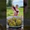How to crispy durian fruit recipe #shorts #shortvideo #cooking #food #recipe