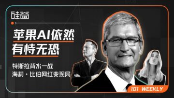 苹果AI困境、特斯拉Robotaxi背水一战和海莉·比伯的10亿美妆战｜101 Weekly