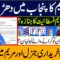 نوازمریم کا پنجاب میں دھڑن تختہ؟ لاہور میں مریم فسطائیت کا جنازہ؟