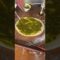Asian street food 烤馍 #strrefoods