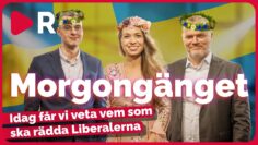 Morgongänget: Idag får vi veta vem som ska rädda Liberalerna