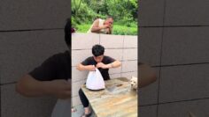 It’s so funny, never expected, unexpected ending