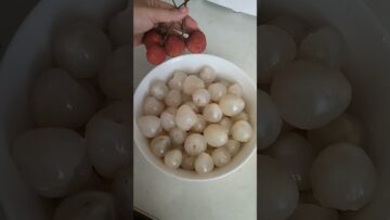 Bos sampe ikut petik Buah 😅😅