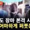 [에디터픽] 한반도 장마 본격 시작…돌풍·벼락 동반 ‘물폭탄’ 예고 / YTN