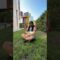 Harika bir karne hediyesi #funny #elifsinemtv