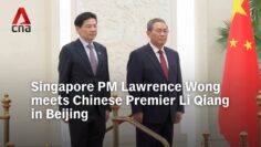 Singapore Prime Minister Lawrence Wong meets Chinese Premier Li Qiang in Beijing
