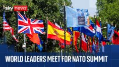 World leaders gather in The Hague for NATO summit