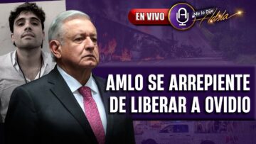 Votos nulos, abstención y silencio: así respondió México | Prog. 04/06 | MLDA