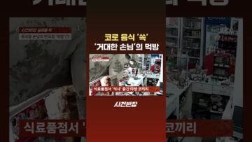 코로 음식 ‘쓱’ ‘거대한 손님’의 먹방 #JTBC #Shorts
