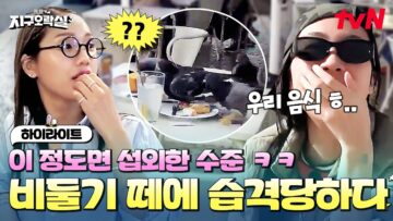 이 정도면 키우는 거 아니야? 하루 종일 이영지만 따라다니는 비둘기 떼 ㅋㅋㅋ #highlight #뿅뿅지구오락실3 EP.7