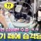 이 정도면 키우는 거 아니야? 하루 종일 이영지만 따라다니는 비둘기 떼 ㅋㅋㅋ #highlight #뿅뿅지구오락실3 EP.7
