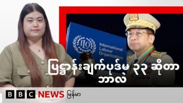 ပြဋ္ဌာန်းချက်ပုဒ်မ ၃၃ ဆိုတာဘာလဲ – BBC News မြန်မာ