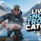 LIVE Snow Trout Fishing in Icy Himalayan Waters! 🧊