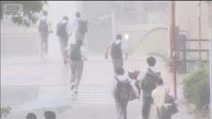 「事前捕捉90％以上」AIで“ゲリラ雷雨予測”の最前線　暑さ一転…関東100ミリ超の雨【報道ステーション】(2025年7月1日)